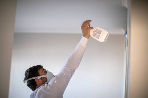 Best Black Mold Remediation in Comfort, TX