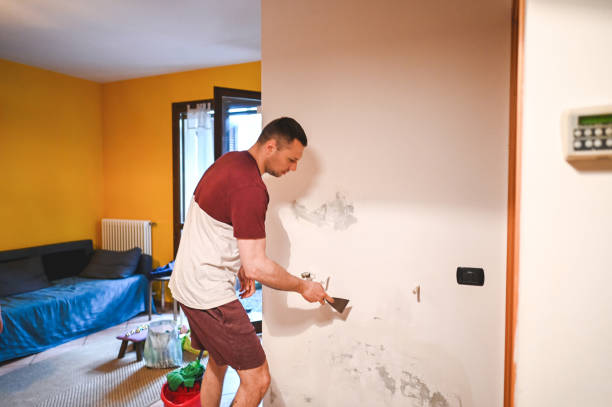 Best Mold Remediation for Schools in Comfort, TX